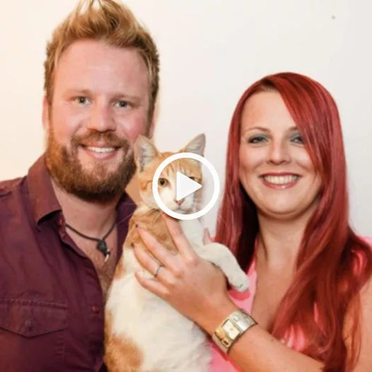 “Love and Compassion Over Lavish Nuptials: How One Couple Chose to Adopt a Stray Cat Instead”